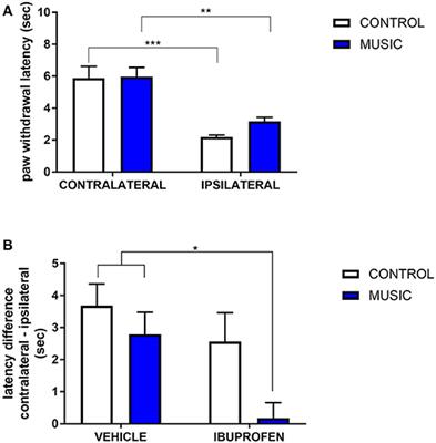 Music-Enhanced Analgesia and Antiseizure Activities in Animal Models of Pain and Epilepsy: Toward Preclinical Studies Supporting Development of Digital Therapeutics and Their Combinations With Pharmaceutical Drugs